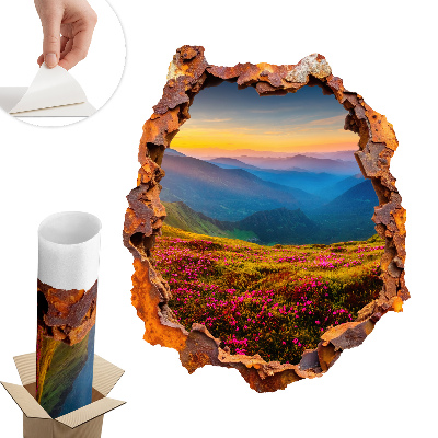 Fototapeta diera v stene 83x100 Kvetinové hory