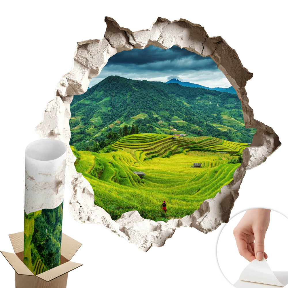 Fototapeta diera v stene 100x95 Zelené terasy