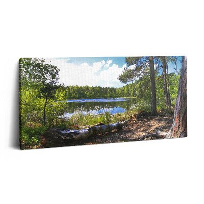 Obraz na plátne 100x50 Lesné jazero za slnečného dňa.