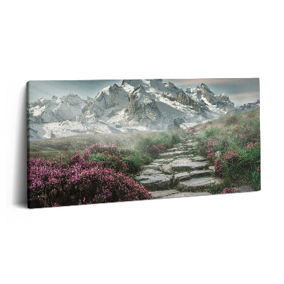 Obraz na plátne 100x50 Horská cesta medzi kvetmi