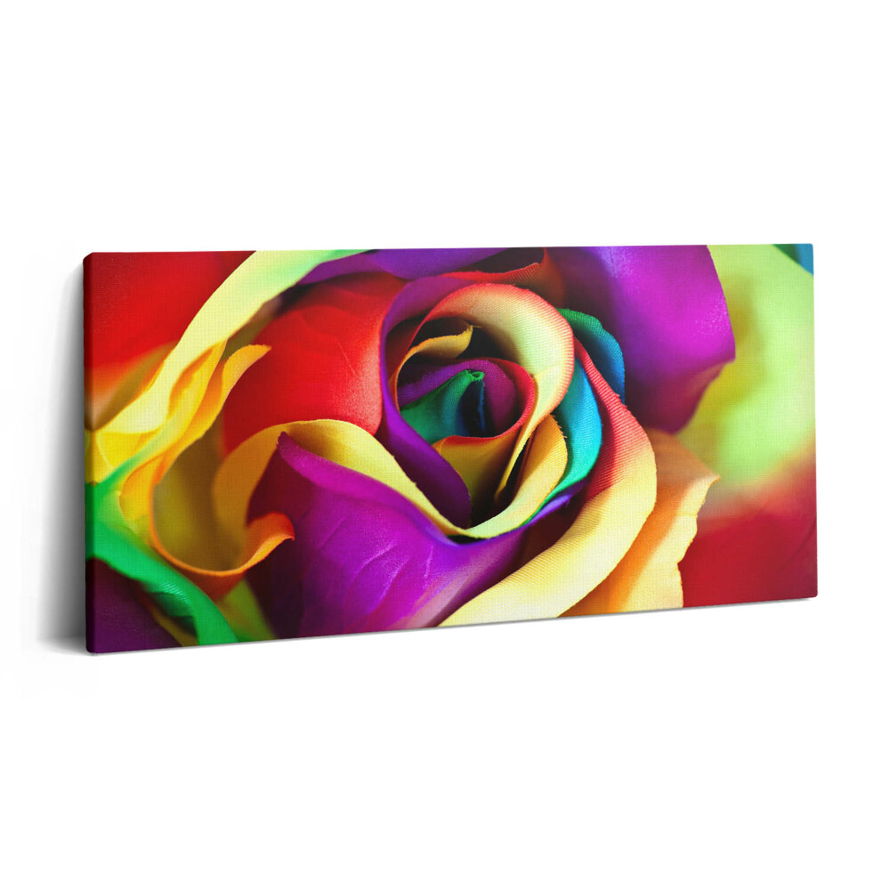 Obraz na plátne 100x50 Farebná dúhová ruža na plátne.