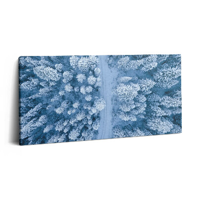 Fotoobraz na plátne 100x50 Zimný les z vtáčej perspektívy.