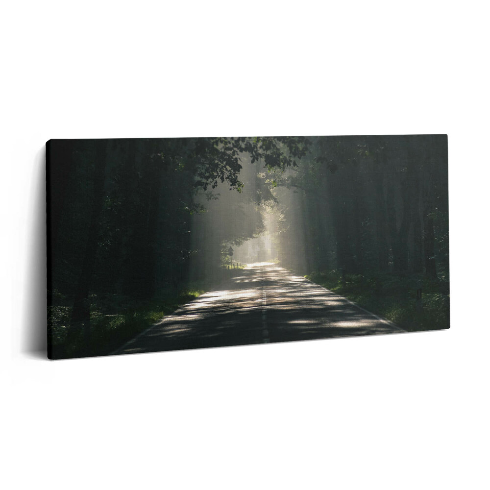 Fotoobraz na plátne 100x50 Cesta v rannom svetle lesa.