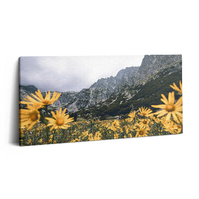 Obraz na plátne 100x50 Horské kvety pod oblačnou oblohou.