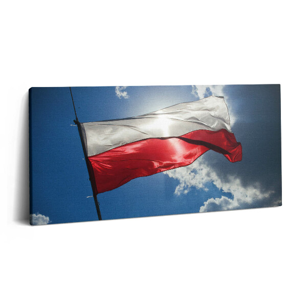 Obraz na plátne 100x50 Vlajka na modrej oblohe.