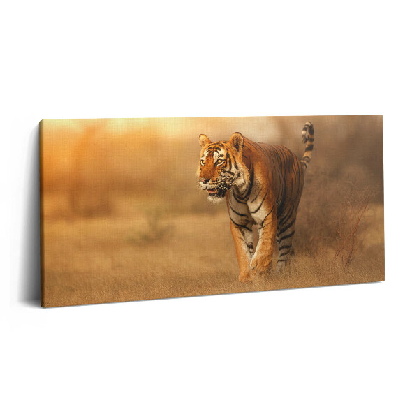 Fotoobraz na plátne 120x60 Tiger v zlatej savane