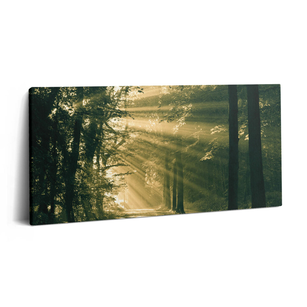 Fotoobraz na plátne 120x60 Svetlo prenikajúce lesnou cestou