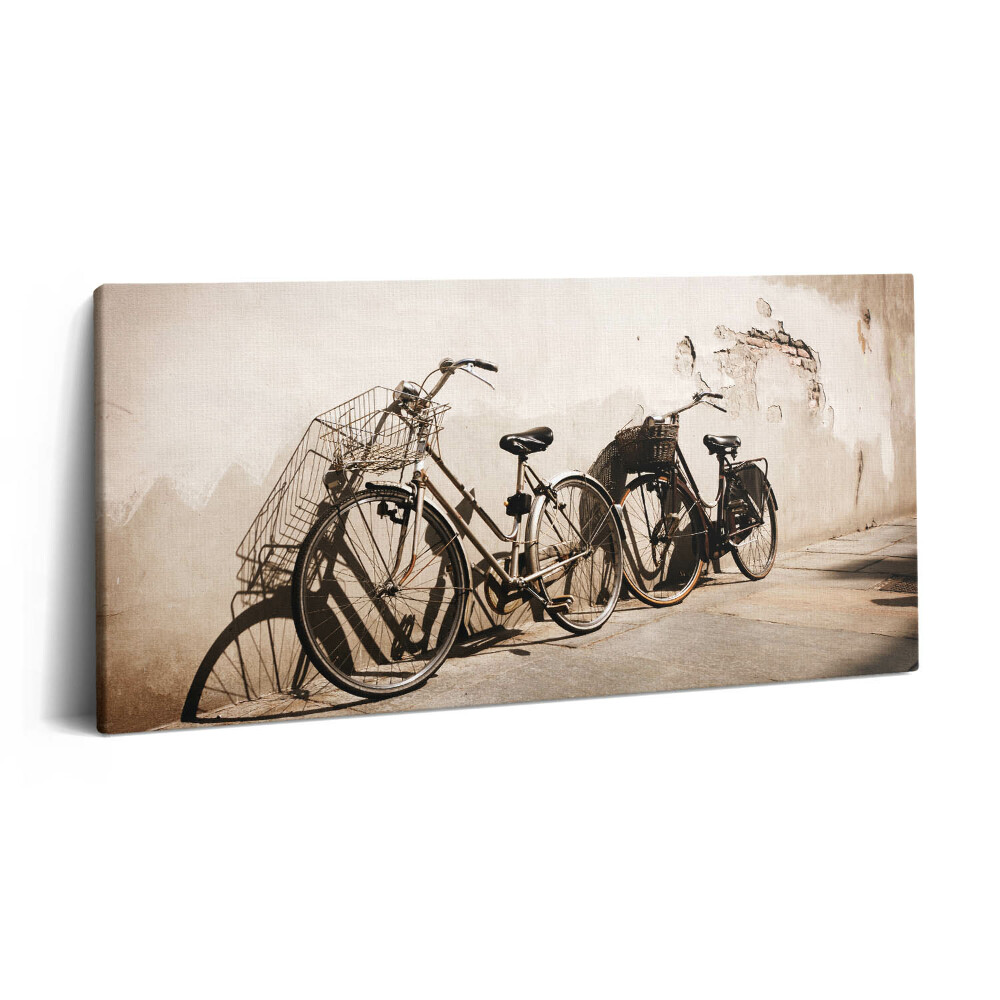 Fotoobraz na plátne 120x60 Bicykle pri starej stene