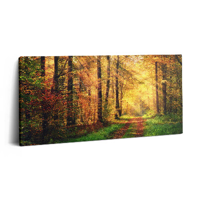 Obraz na plátne 120x60 Jesenná cesta lesom