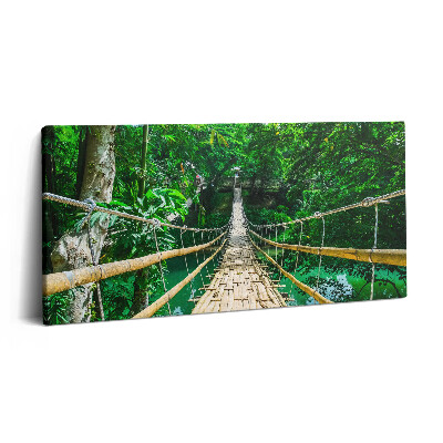 Obraz na plátne 120x60 Zelený most v džungli