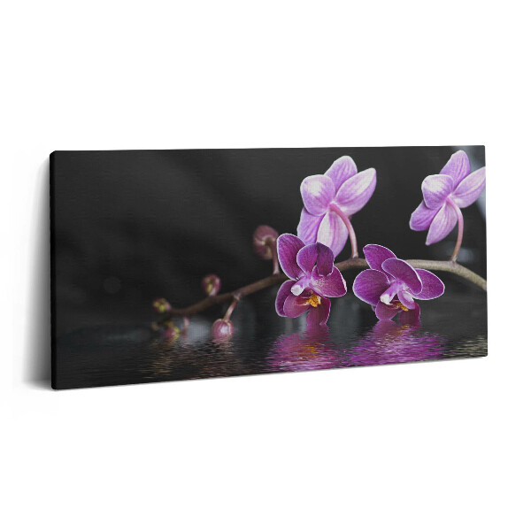 Obraz na plátne 120x60 Fialové orchidey nad vodou