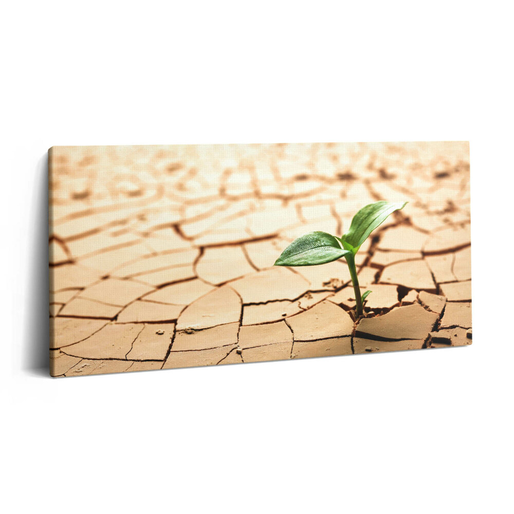 Fotoobraz na plátne 120x60 Život v púšti: Krehká nádej
