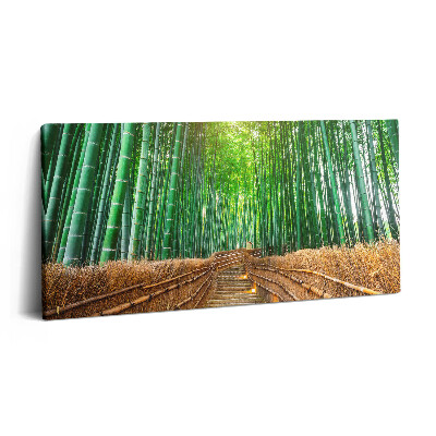 Fotoobraz na plátne 120x60 Bambusový lesný chodník v lúčoch svetla