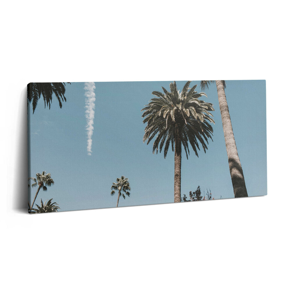 Fotoobraz na plátne 120x60 Palmy pod modrou oblohou