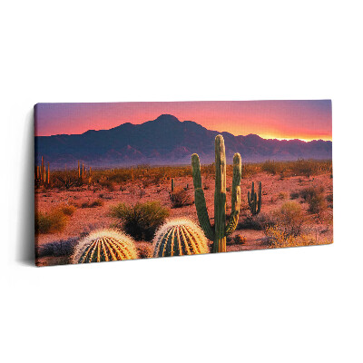 Obraz na plátne 120x60 Kaktusy v púštnom západe slnka