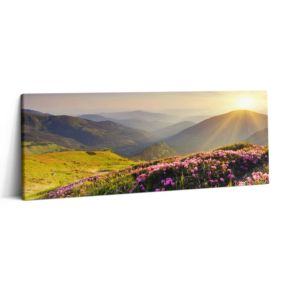 Fotoobraz na plátne 125x50 Horské ráno s kvetmi a slnkom