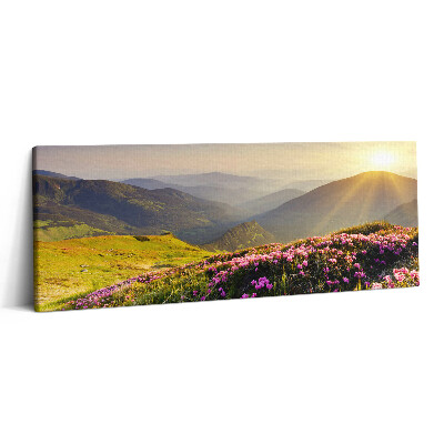 Fotoobraz na plátne 125x50 Horské ráno s kvetmi a slnkom