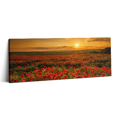 Obraz na plátne 125x50 Západ slnka nad makovým poľom