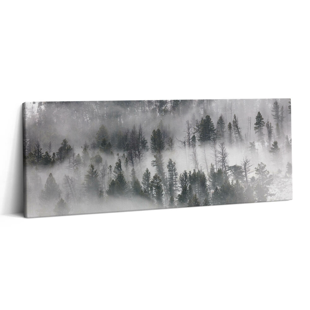 Fotoobraz na plátne 125x50 Hmlistý lesný sen