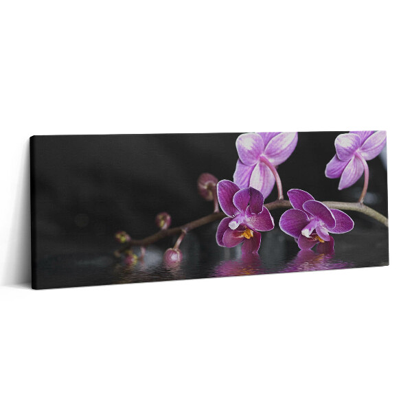 Obraz na plátne 125x50 Fialové orchidey nad vodou