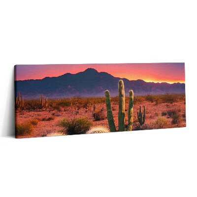 Fotoobraz na plátne 125x50 Púštny západ slnka s kaktusmi