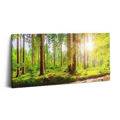 Obraz na plátne 140x70 Svetlo prenikajúce lesom