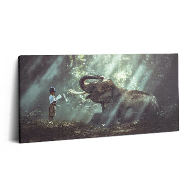 Fotoobraz na plátne 140x70 Chlapec a slon v lese