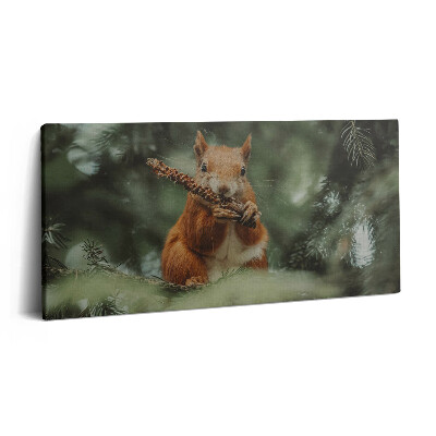 Obraz na plátne 140x70 Veverička s šiškou na strome