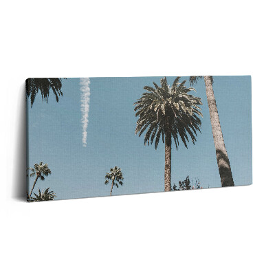 Fotoobraz na plátne 140x70 Palmy pod modrou oblohou