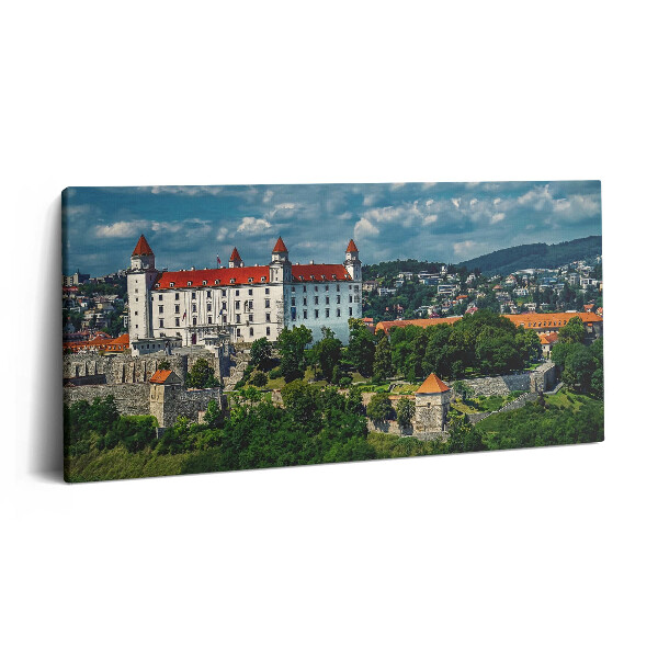 Fotoobraz na plátne 140x70 Bratislavský hrad v letnom dni