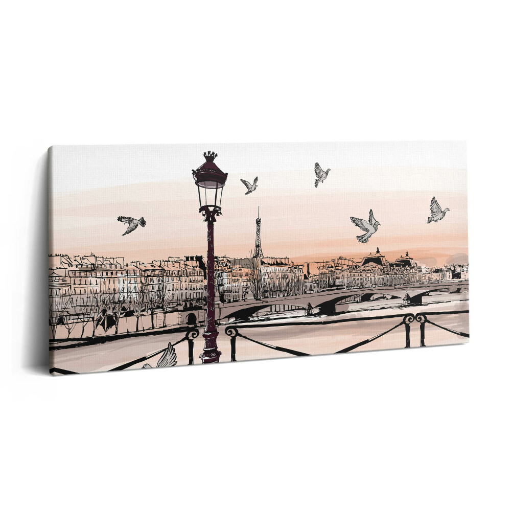 Fotoobraz na plátne 140x70 Parížske ráno s lampami a holubmi