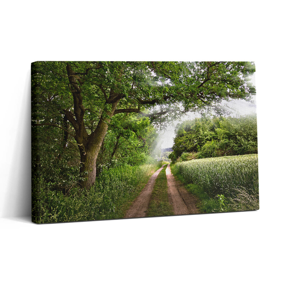 Fotoobraz na plátne 30x20 Cesta v zelenom lese