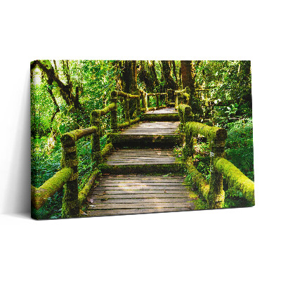 Fotoobraz na plátne 30x20 Drevený most v zelenej džungli