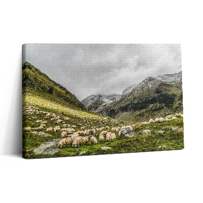 Obraz na plátne 30x20 Ovce pasúce sa v horách