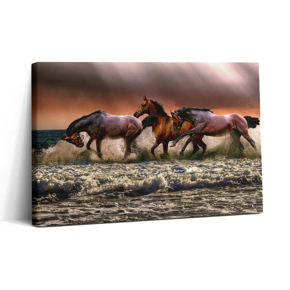 Fotoobraz na plátne 30x20 Kone cválajúce vo vlnách mora