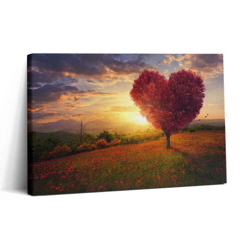 Obraz na plátne 30x20 Srdce stromu pri západe slnka