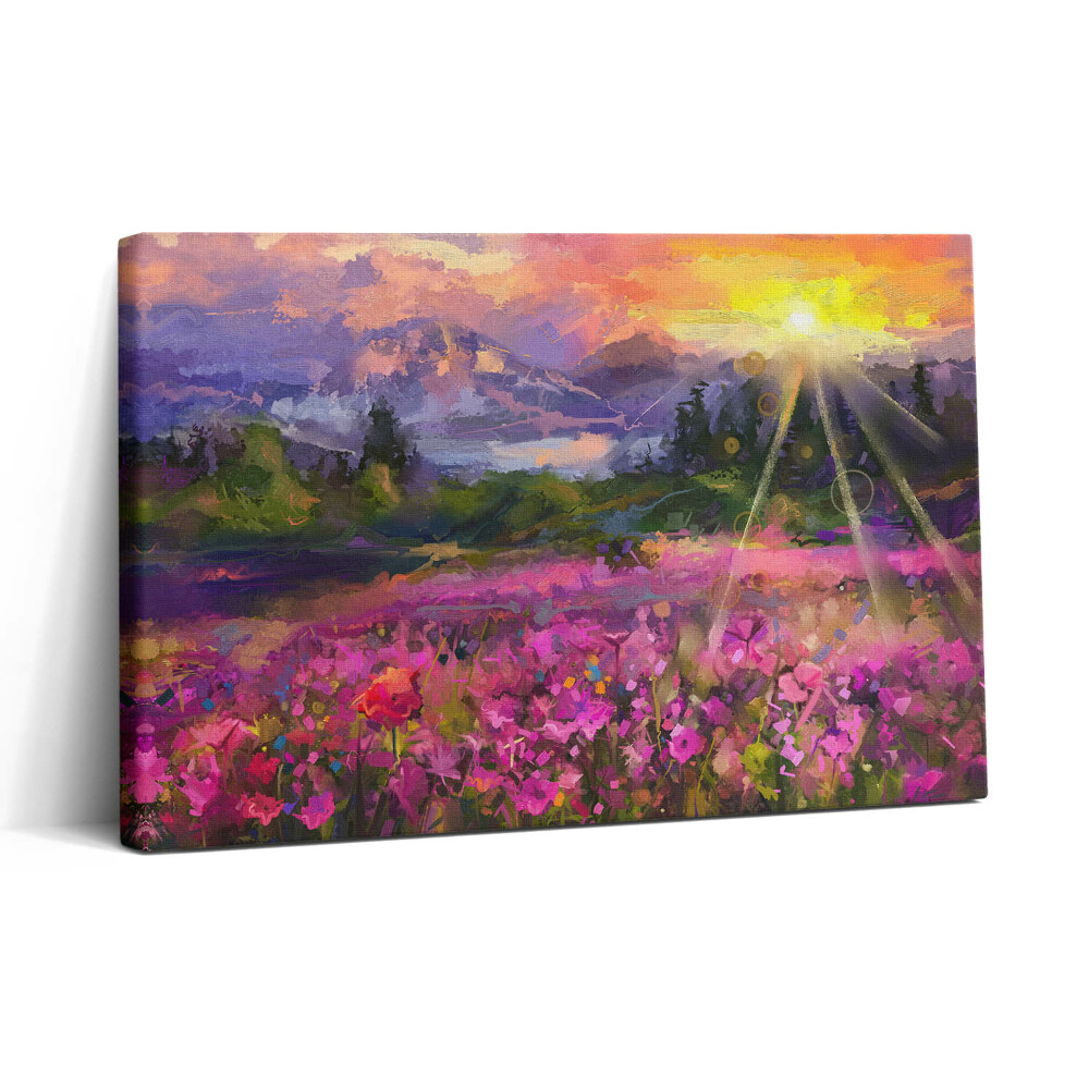 Obraz na plátne 30x20 Kvetinová lúka pri západe slnka
