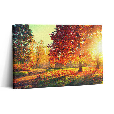 Obraz na plátne 30x20 Jesenná cesta v slnečnom lese