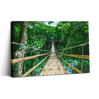 Obraz na plátne 30x20 Bambusový most v džungli