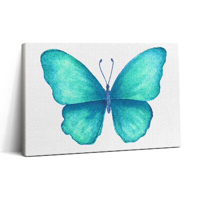 Obraz na plátne 30x20 Modrý motýľ na bielom pozadí