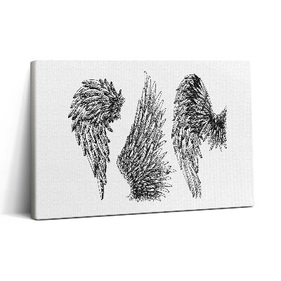 Obraz na plátne 30x20 Kreslené krídla na bielom plátne