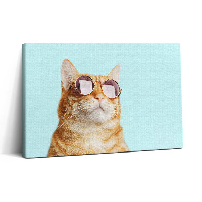 Obraz na plátne 30x20 Mačka s okuliarmi na modrom pozadí
