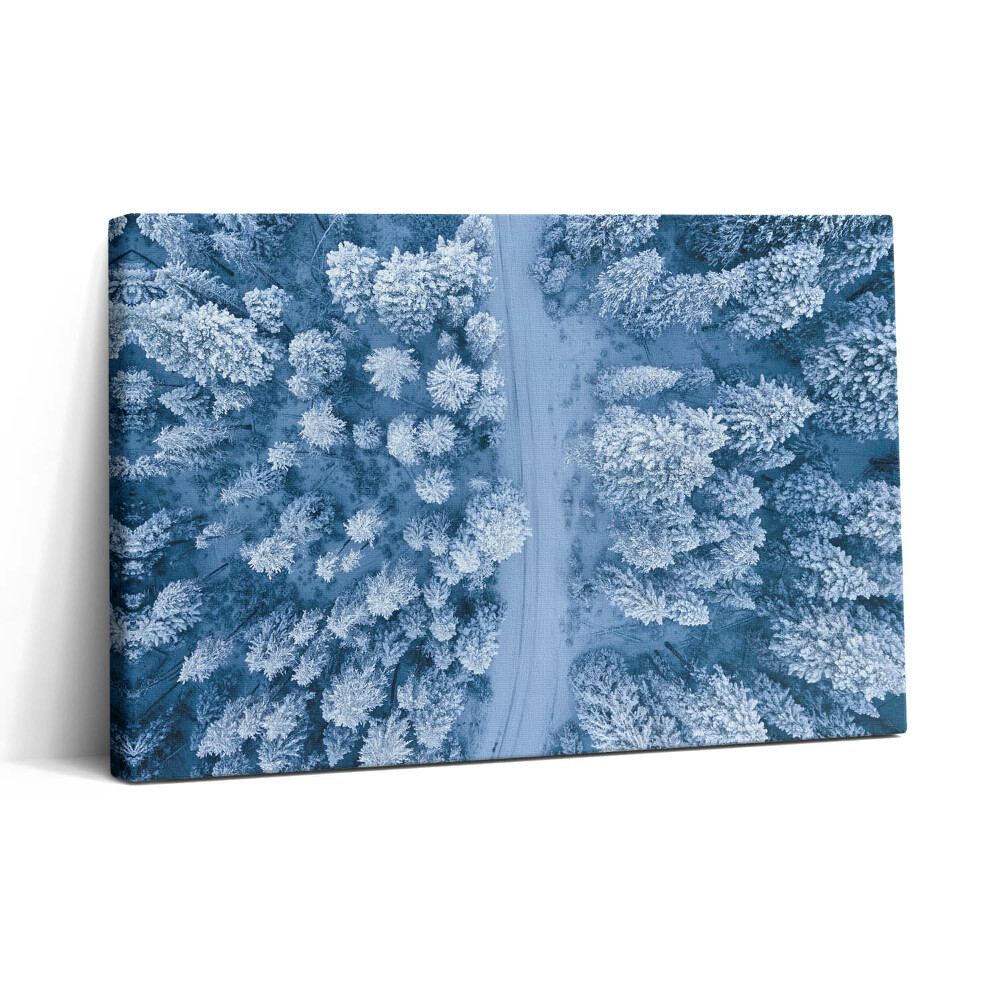 Obraz na plátne 30x20 Zimná cesta medzi stromami