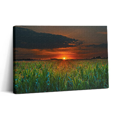 Obraz na plátne 30x20 Západ slnka nad kukuričným poľom