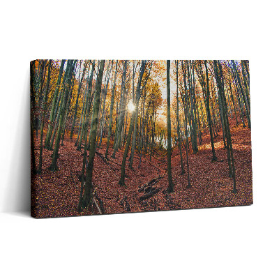 Obraz na plátne 30x20 Jesenný lesný pokoj
