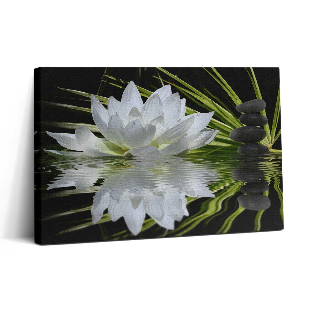 Obraz na plátne 30x20 Pokojná lotosová harmónia
