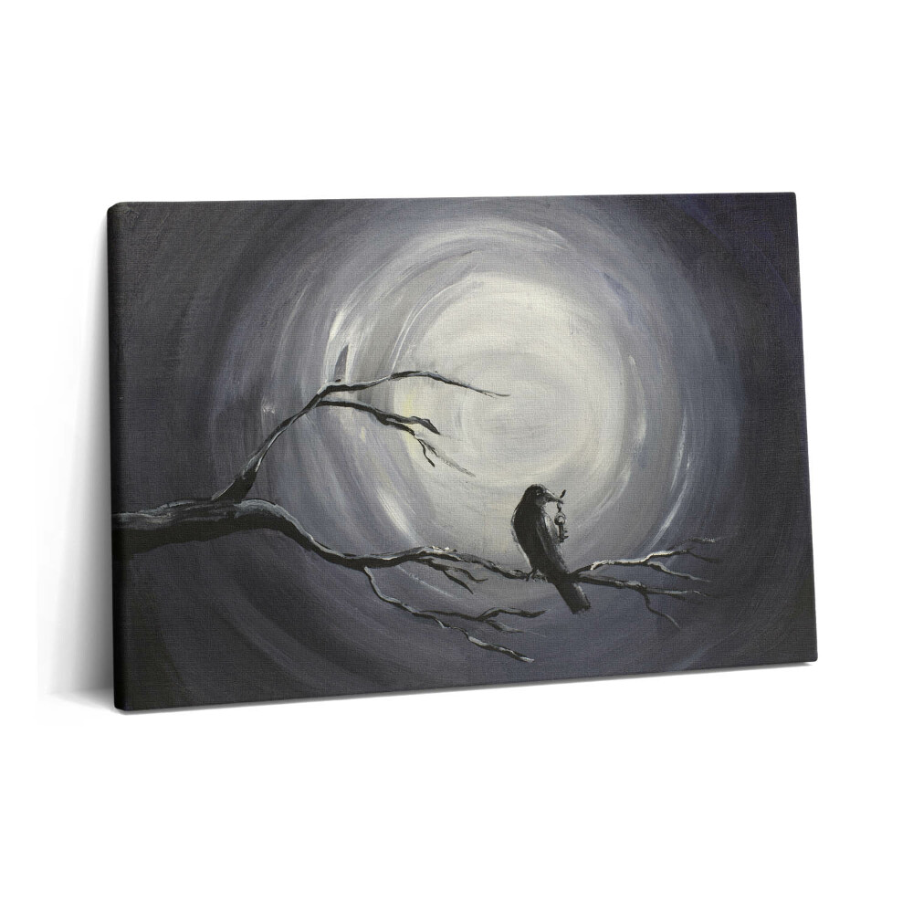 Fotoobraz na plátne 60x40 Havran v mesačnom svite