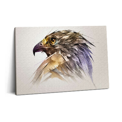 Fotoobraz na plátne 60x40 Kráľovský dravý vták