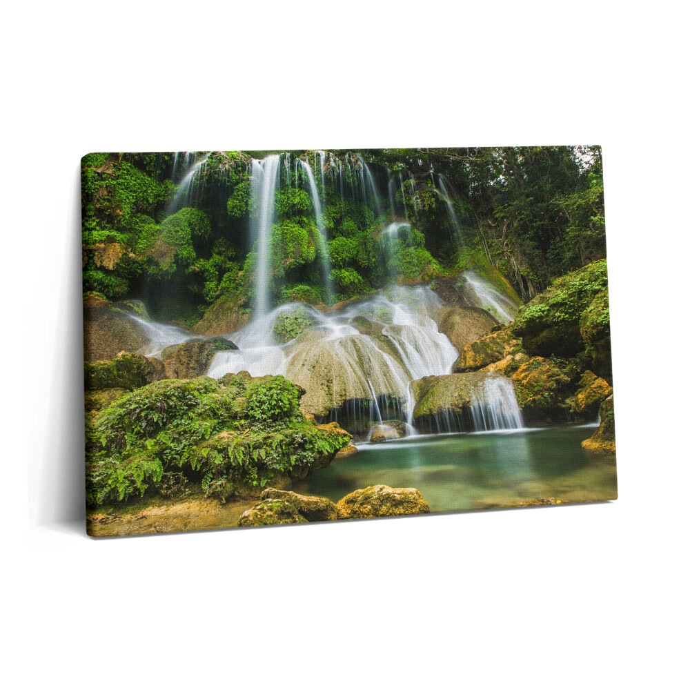Obraz na plátne 60x40 Divoký prírodný vodopád