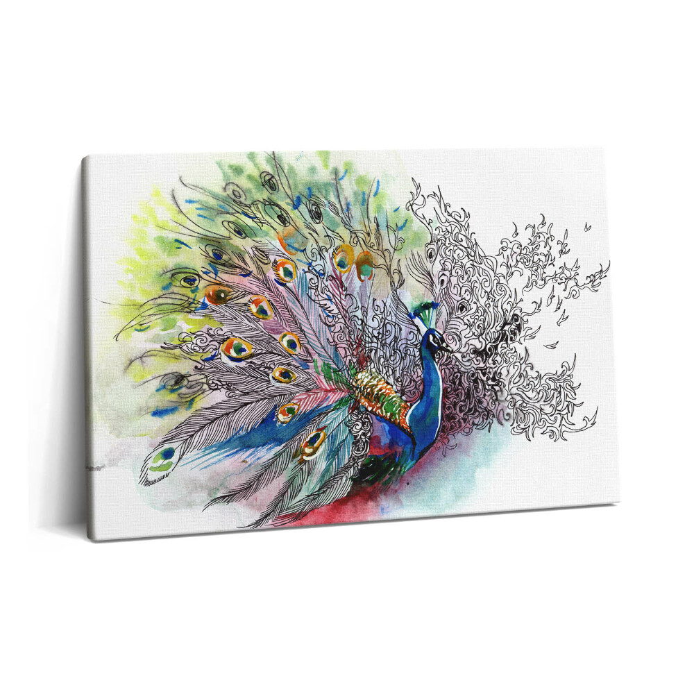 Obraz na plátne 60x40 Farebný páv